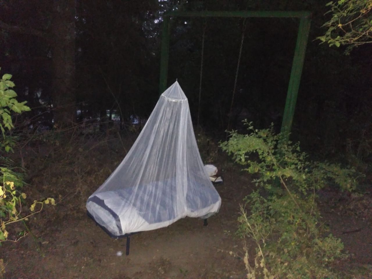 Una cama con mosquitera en el bosque, de noche